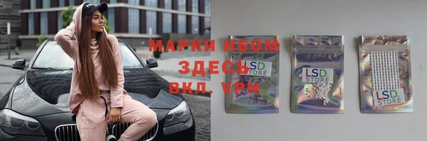 сатива Богородицк
