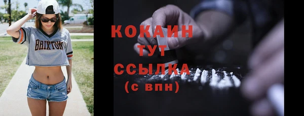 сатива Богородицк