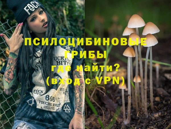 ALPHA PVP Богданович